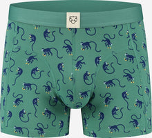 Lade das Bild in den Galerie-Viewer, Boxer Briefs Marcel
